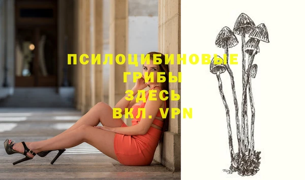 спиды Алексеевка
