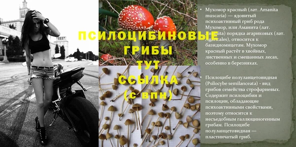 мяу мяу мука Алзамай