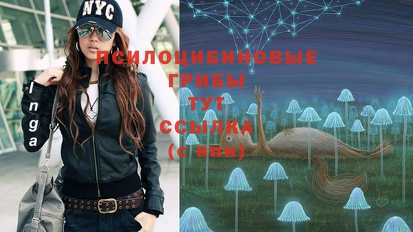 прущая мука Алексин