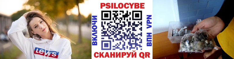 Псилоцибиновые грибы GOLDEN TEACHER  наркотики  Камышин 